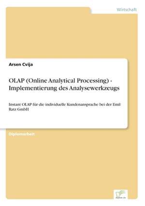 OLAP (Online Analytical Processing) - Implementierung Des Analysewerkzeugs: The Effects of Prejudice and Power on Information Seeking, Employee Evaluation, Task Assignment, and Estimates of Empl de Arsen Cvija