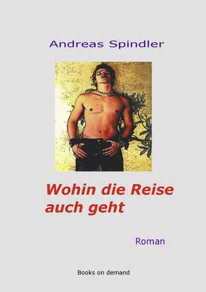 Wohin Die Reise Auch Geht: Die Bedeutung Jugendlicher ALS Zielmarkt Fur Die Wirtschaft Und Handlungsoptionen Fur Eine Werbliche Ansprache de Andreas Spindler