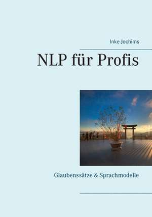 NLP für Profis de Inke Jochims