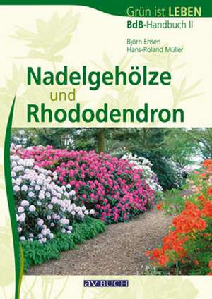 Nadelgehöze und Rhododendron de Björn Ehsen