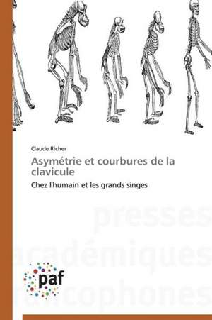 Asymétrie et courbures de la clavicule de Claude Richer