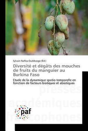 Diversité et dégâts des mouches de fruits du manguier au Burkina Faso de Sylvain Nafiba Ouédraogo