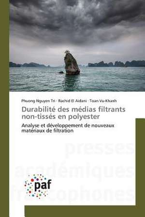 Durabilité des médias filtrants non-tissés en polyester de Phuong Nguyen Tri