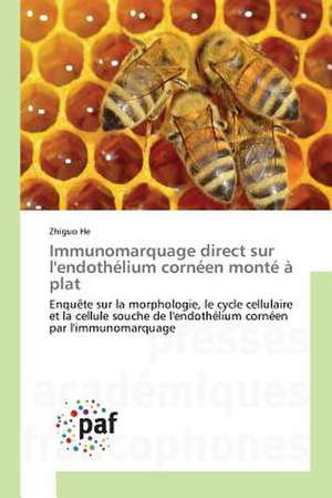 Immunomarquage direct sur l'endothélium cornéen monté à plat de Zhiguo He