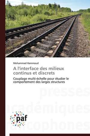 A l'interface des milieux continus et discrets de Mohammad Hammoud