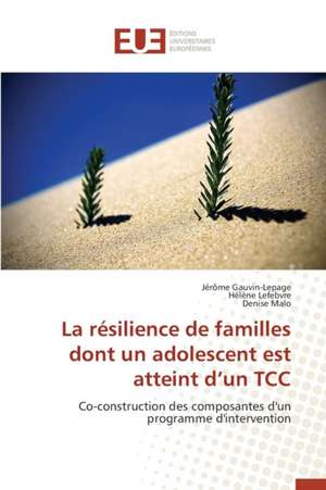 La Resilience de Familles Dont Un Adolescent Est Atteint D'Un Tcc: Pour L'Ethique D'Une Consommation Plus Objective de Jérôme Gauvin-Lepage