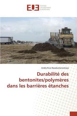 Durabilite Des Bentonites/Polymeres Dans Les Barrieres Etanches: Etat Des Lieux, Enjeux Et Perspectives de Andry Rico Razakamanantsoa