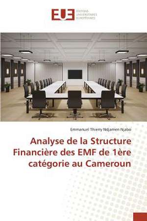 Analyse de La Structure Financiere Des Emf de 1ere Categorie Au Cameroun: Etat Des Lieux, Enjeux Et Perspectives de Emmanuel Thierry Ndjamen Njabo