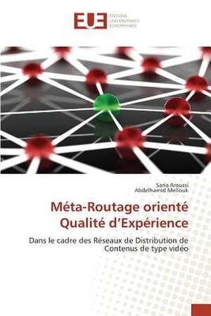 Meta-Routage Oriente Qualite D'Experience: Balzac Flaubert & Stendhal Demiurges Du Xixe de Sana Aroussi