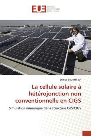 La Cellule Solaire a Heterojonction Non Conventionnelle En Cigs: Balzac Flaubert & Stendhal Demiurges Du Xixe de Seloua Bouchekouf