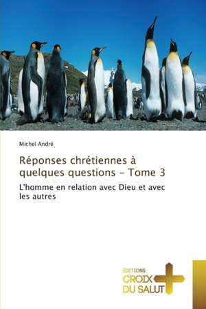 Reponses Chretiennes a Quelques Questions - Tome 3: Analyse Du Tissu Sanguin de Michel André