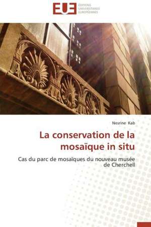 La Conservation de La Mosaique in Situ