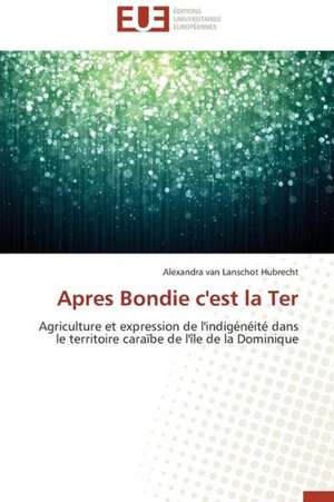 Apres Bondie C'Est La Ter: Les Risques Lies a la Discrimination Des Pvvih de Alexandra van Lanschot Hubrecht