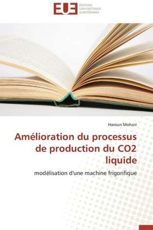 Amelioration Du Processus de Production Du Co2 Liquide: Les Risques Lies a la Discrimination Des Pvvih de Haroun Mohsni