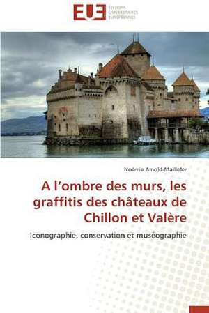 A L'Ombre Des Murs, Les Graffitis Des Chateaux de Chillon Et Valere: Calcul de La Section Efficace Par La Methode Des Moments de Noémie Arnold-Maillefer