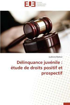 Delinquance Juvenile: Etude de Droits Positif Et Prospectif de Ludivine Barbier