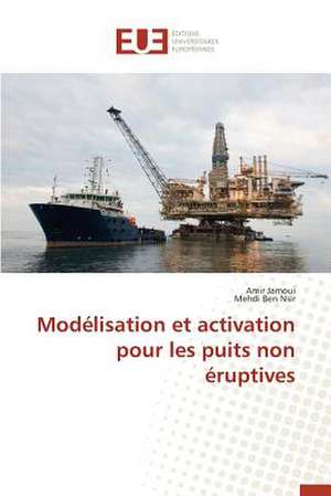 Modelisation Et Activation Pour Les Puits Non Eruptives: Nouvelle Approche de Amir Jamoui