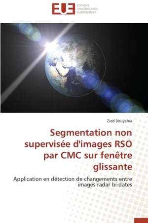 Segmentation Non Supervisee D'Images Rso Par CMC Sur Fenetre Glissante: Analyse Du Roman Et Du Film de Zied Bouyahia