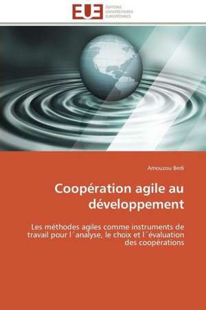 Cooperation Agile Au Developpement: Le Defi de Madagascar de Amouzou Bedi