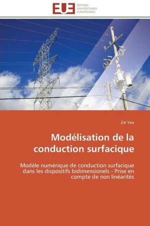 Modelisation de La Conduction Surfacique: Levier D'Un Management Moderne de Zié Yeo