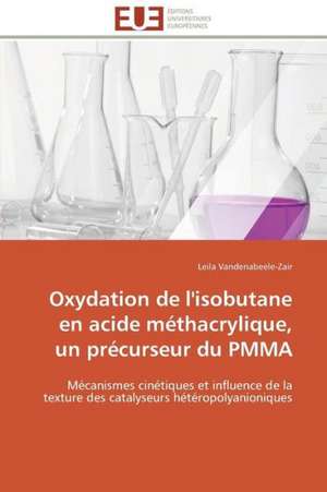 Oxydation de L'Isobutane En Acide Methacrylique, Un Precurseur Du Pmma: France Et Russie de Leila Vandenabeele-Zair