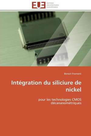 Integration Du Siliciure de Nickel: Management Du Changement de Benoit Froment