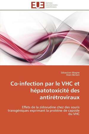 Co-Infection Par Le Vhc Et Hepatotoxicite Des Antiretroviraux: Materiau D'Avenir Pour La Pile Sofc? de Sébastien Magne