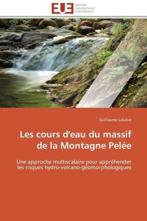 Les Cours D'Eau Du Massif de La Montagne Pelee: Un Paysage Culturel a Valoriser de Guillaume Lalubie