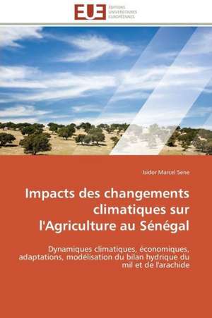 Impacts Des Changements Climatiques Sur L'Agriculture Au Senegal: Psychanalyse de La Peur de Isidor Marcel Sene