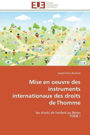 Mise En Oeuvre Des Instruments Internationaux Des Droits de L'Homme: Elaboration de Thermistances Ctn de Joseph Olou Bankolé