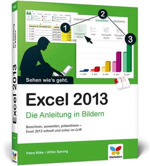 Excel 2013 de Petra Bilke