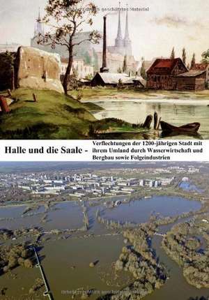 Halle und die Saale de Christoph Ohlig