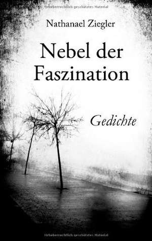 Nebel der Faszination de Nathanael Ziegler