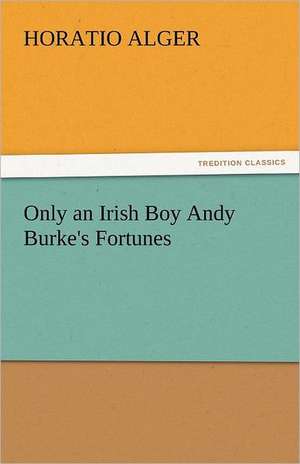 Only an Irish Boy Andy Burke's Fortunes de Horatio Alger