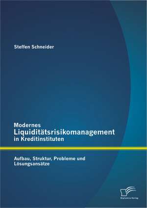 Modernes Liquiditatsrisikomanagement in Kreditinstituten: Aufbau, Struktur, Probleme Und Losungsansatze de Steffen Schneider