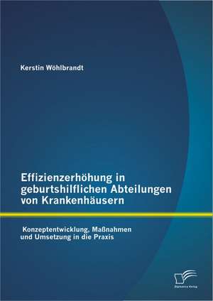 Effizienzerh Hung in Geburtshilflichen Abteilungen Von Krankenh Usern: Konzeptentwicklung, Ma Nahmen Und Umsetzung in Die Praxis de Kerstin Wöhlbrandt