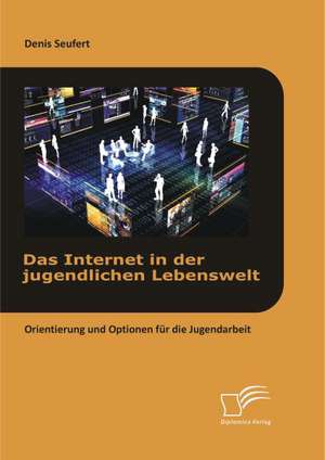 Das Internet in Der Jugendlichen Lebenswelt: Orientierung Und Optionen Fur Die Jugendarbeit de Denis Seufert