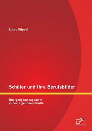 Schuler Und Ihre Berufsbilder: Ubergangsmanagement in Der Jugendberufshilfe de Lucas Stippel