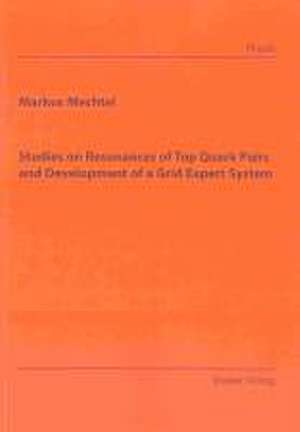 Studies on Resonances of Top Quark Pairs and Development of a Grid Expert System de Markus Mechtel