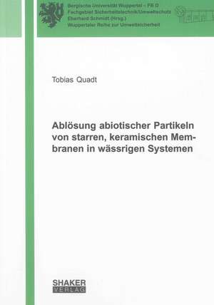 Ablösung abiotischer Partikeln von starren, keramischen Membranen in wässrigen Systemen de Tobias Quadt