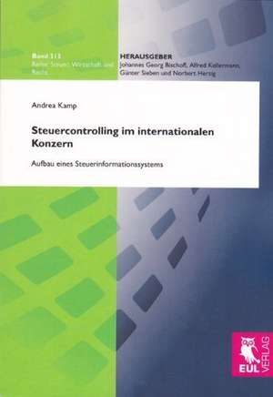 Steuercontrolling im internationalen Konzern de Andrea Kamp