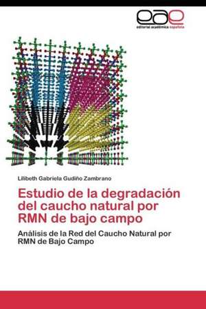 Estudio de la degradación del caucho natural por RMN de bajo campo de Lilibeth Gabriela Gudiño Zambrano