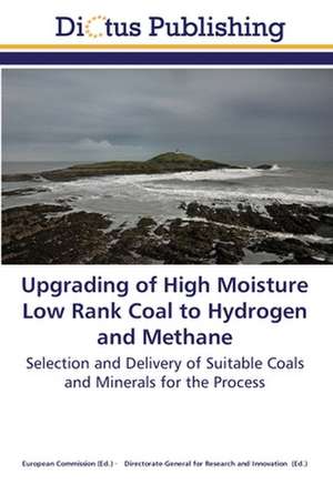 Upgrading of High Moisture Low Rank Coal to Hydrogen and Methane de European Commission European Commission