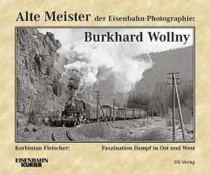 Alte Meister der Eisenbahn-Photographie: Burkhard Wollny de Frank Lüdecke