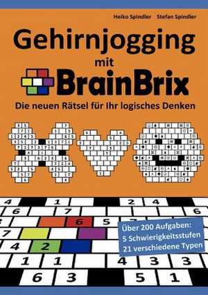 Gehirnjogging mit BrainBrix de Stefan Spindler