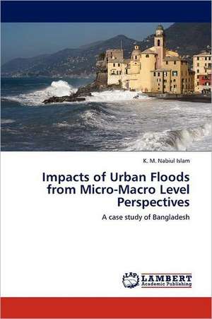 Impacts of Urban Floods from Micro-Macro Level Perspectives de Islam K. M. Nabiul