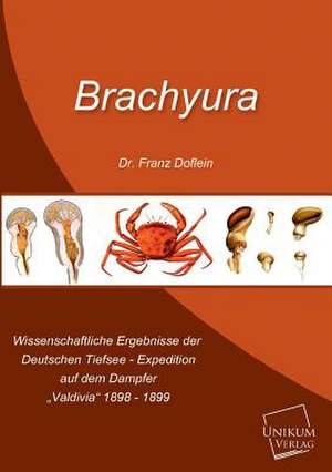 Brachyura de Franz Doflein