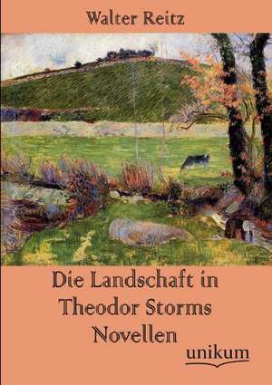 Die Landschaft in Theodor Storms Novellen de Walter Reitz