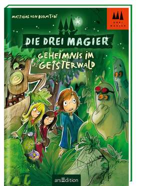 Die drei Magier - Geheimnis im Geisterwald de Matthias von Bornstädt