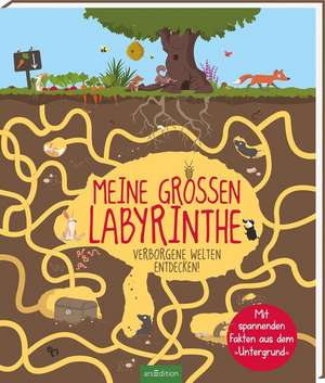 Meine großen Labyrinthe de Karine Balzeau